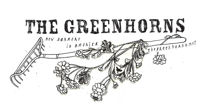 greenhorns_rosewood_rake_700 greenhorns_rosewood_rake_700