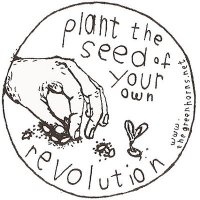 plant the seed