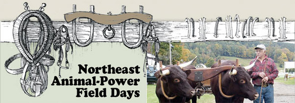 animalpower_email animalpower_email