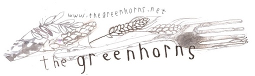 greenhorns letterhead 5 greenhorns letterhead 5